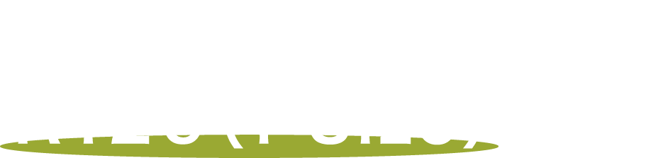 ヨーロッパの最新安全基準R129（i-Size）に適合